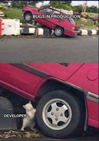 Bugs in production and developer